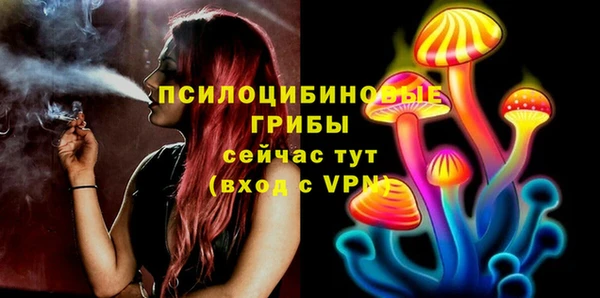крисы Навашино