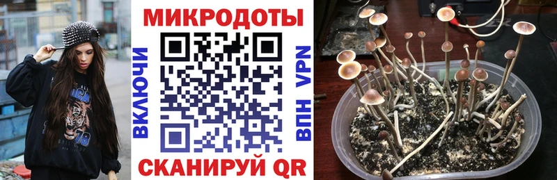 Галлюциногенные грибы Magic Shrooms  Омск 